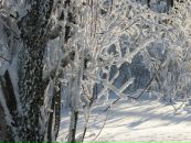 Фотография Гуменюк Веры