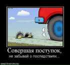 Фотография Торозёрова Дениса