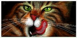 Фотография Ольхова Сергея