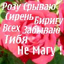 Марія Тимик фотография #37 (источник - https://vk.com/id152342958)
