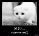 Мирося Сіньковська фотография #21 (источник - https://vk.com/id303163545)