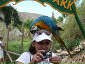 Фотография Поповой Светланы