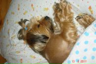 Иван Андреев фотография #7 (источник - https://vk.com/id2534545)