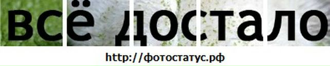 Віталій Павлюк фотография #8 (источник - https://vk.com/id107506126)