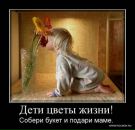 Фотография Аминевой Светланы