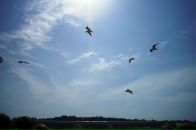 Фотография Черепениной Анастасии