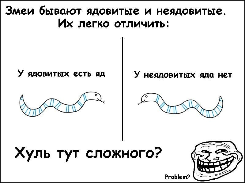 Дмитрий Молчаливый фотография #26