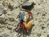 Наталья Софронова фотография #21 (источник - https://vk.com/id5466782)