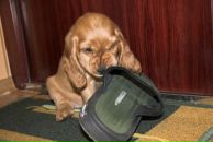 Фотография Гуляевой Натальи