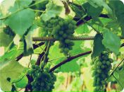 Дмитрий Додон фотография #30 (источник - https://vk.com/id1244633)