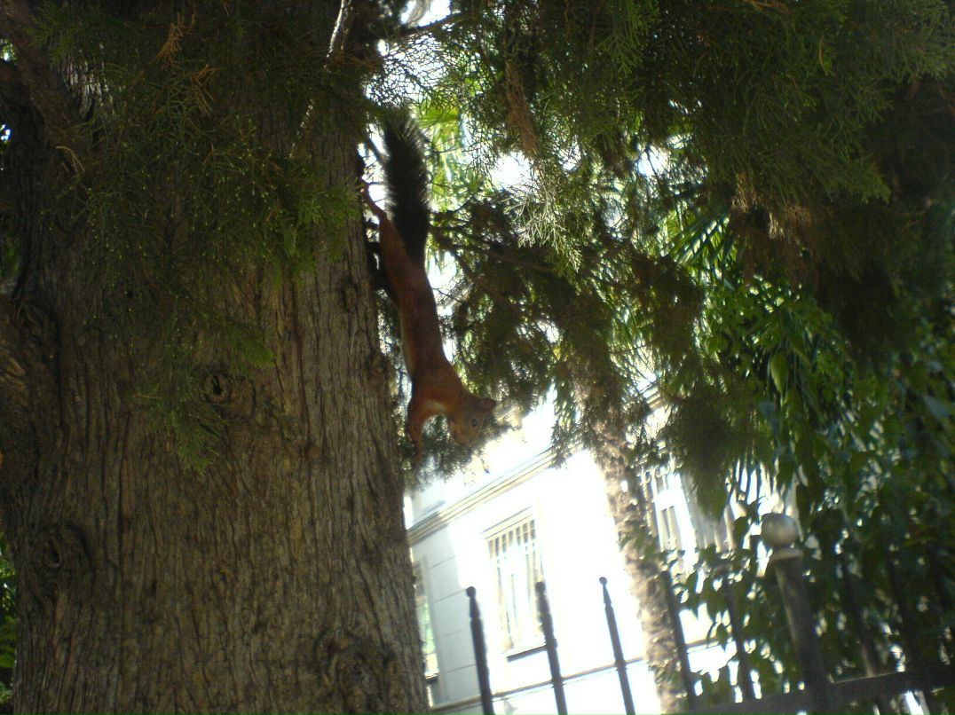 Иван Кузнецов фотография #9