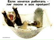 Фотография Каравановой Марии