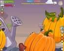 Кирил Осташкін фотография #3 (источник - https://vk.com/id163293255)