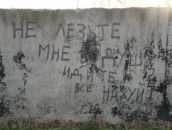 Фотография Шульги Арсения