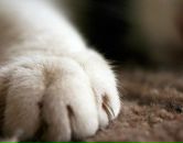 Фотография Минкевич Валентины