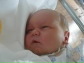 Фотография Александрова Николая