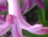 Володя Мисів фотография #31 (источник - https://vk.com/id22399511)