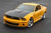 Кріштіано Роналдо фотография #9 (источник - https://vk.com/id124285395)