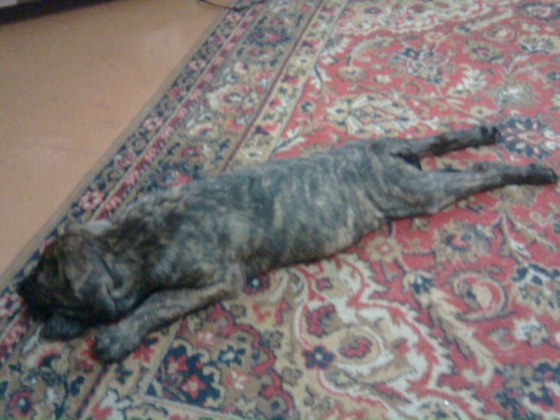 Сергей Соловьев фотография #40