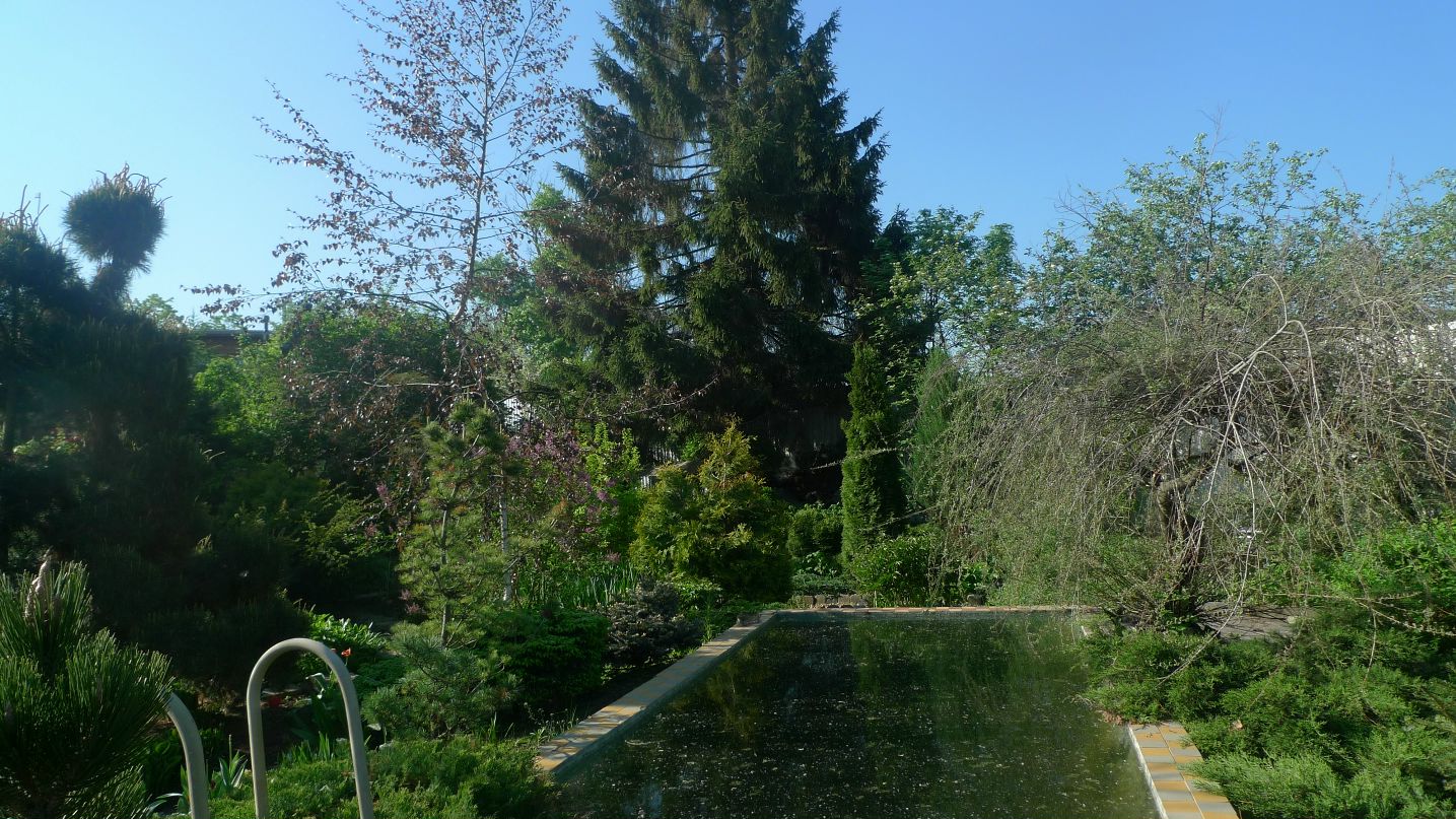 Георгий Никитенко фотография #45