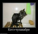 Андрій Лесько фотография #50 (источник - https://vk.com/id33647491)