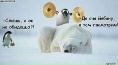 Андрій Самохович фотография #20 (источник - https://vk.com/id102279314)