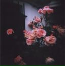 冬の 夜明け фотография #2 (источник - https://vk.com/id235524803)