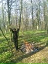Вітя Левик фотография #3 (источник - https://vk.com/id130400598)