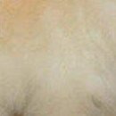 Тіма Устименко фотография #24 (источник - https://vk.com/id146172919)