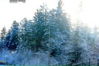 Андрій Сворак фотография #21 (источник - https://vk.com/id13358357)