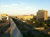 Some Weed фотография #18 (источник - https://vk.com/id1012895)