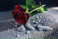 Фотография Федоровой-Маскиной Ольги