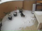 Tatyana Golubenko фотография #28 (источник - https://vk.com/id89208200)