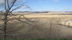 Девид Паркер фотография #41 (источник - https://vk.com/id4767619)