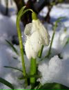 Фотография Анохиной Ирины