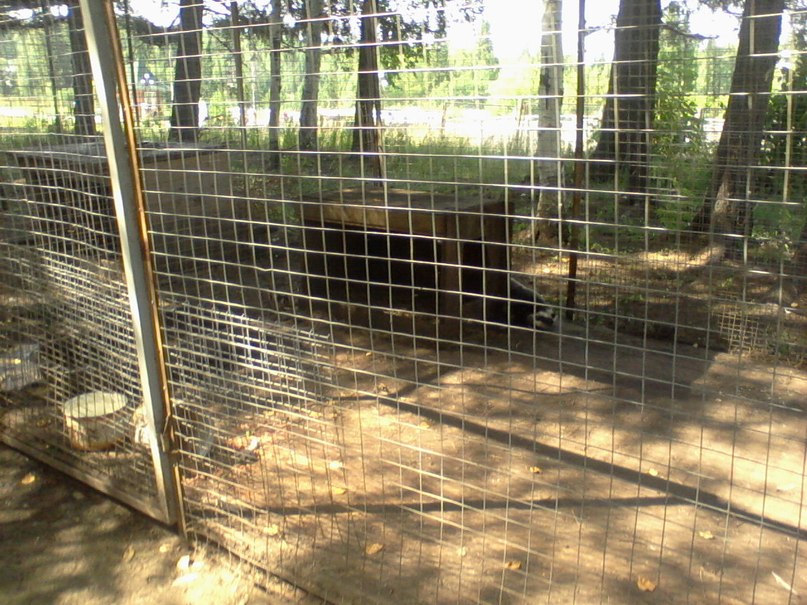 Виктор Крутиков фотография #49