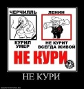 Дмитро Діденко фотография #25 (источник - https://vk.com/id126881566)