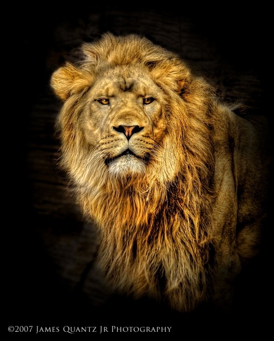 Альберт Кярунц фотография #34