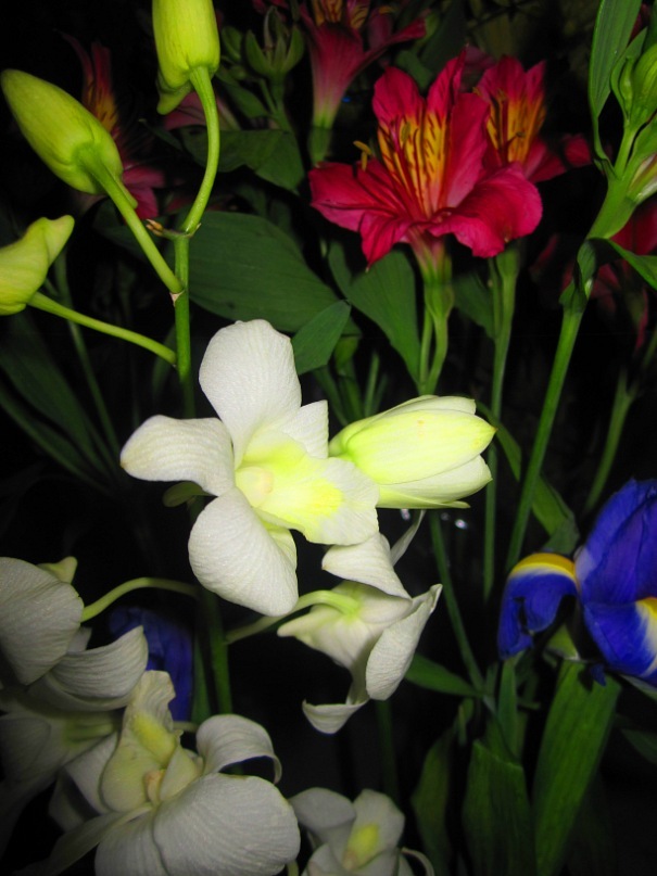 Ольга Гребенникова фотография #19