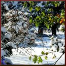 Надя Кладій фотография #30 (источник - https://vk.com/id33762936)