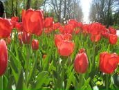 Фотография Телепневой Татьяны