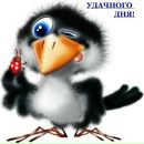 Фотография Дмитриевой Аси