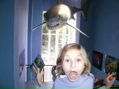 Фотография Мраморной Карины