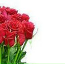 Дмитрий Бабенко фотография #38 (источник - https://vk.com/id1377561)