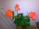Таня Білоус фотография #31 (источник - https://vk.com/id161271687)