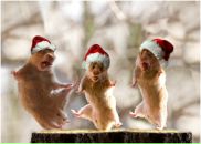 Фотография Казиной Татьяны