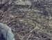Оленуська Одноріг фотография #6 (источник - https://vk.com/id65982885)