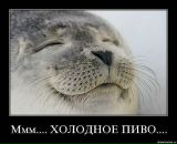 Иван Друковский фотография #40 (источник - https://vk.com/id545338)