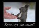 Сашка Веселый фотография #21 (источник - https://vk.com/id4658561)