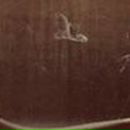 Cassandra Madison фотография #32 (источник - https://vk.com/id85877355)